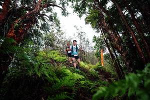 BIB: 
                            <button type="button" onclick="openModal(26203980)" class="btn btn-primary btn-sm float-right btn-popup" data-toggle="modal" data-target=".modal-high-quality">
                        <i class="fas fa-shopping-cart"></i> Add to Cart
                    </button>
                                            <button type="button" onclick="isThisMe(26203980, true)" class="btn btn-success btn-sm float-right btn-popup btn-isme hidden" data-toggle="tooltip" data-placement="bottom" title="นี่คือรูปของคุณใช่ไหม คลิกที่นี่เพื่อเอาเข้าอัลบั้ม">
                        <i class="fas fa-plus"></i> Add to album
                    </button>
                    <button type="button" onclick="isThisMe(26203980, false)" class="btn btn-warning btn-sm float-right btn-popup btn-isnotme hidden">
                        <i class="fas fa-ban"></i> Remove from album
                    </button>